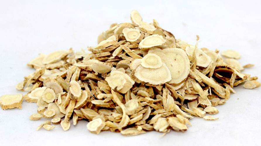 Astragalus Extract in polvere