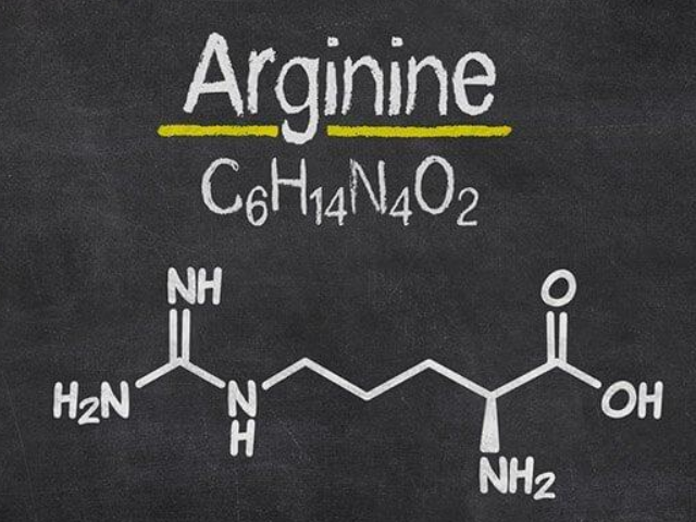L-arginina hcl in polvere