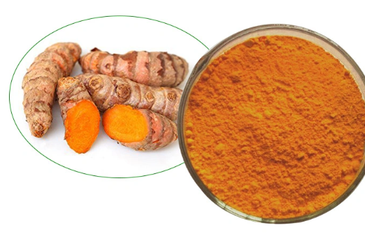 95 curcumin extract.png