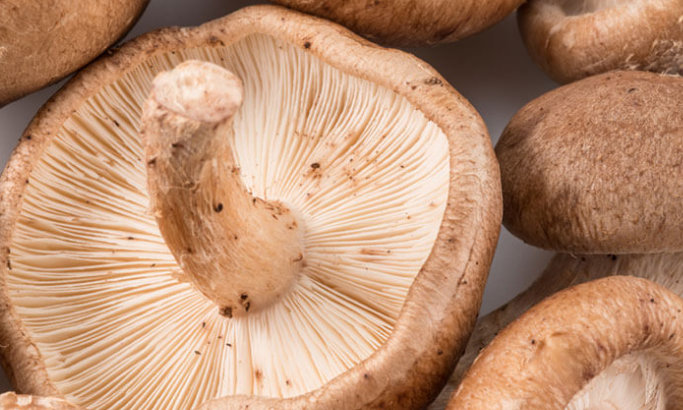 Benefici di i funghi Shiitake per a pelle.png